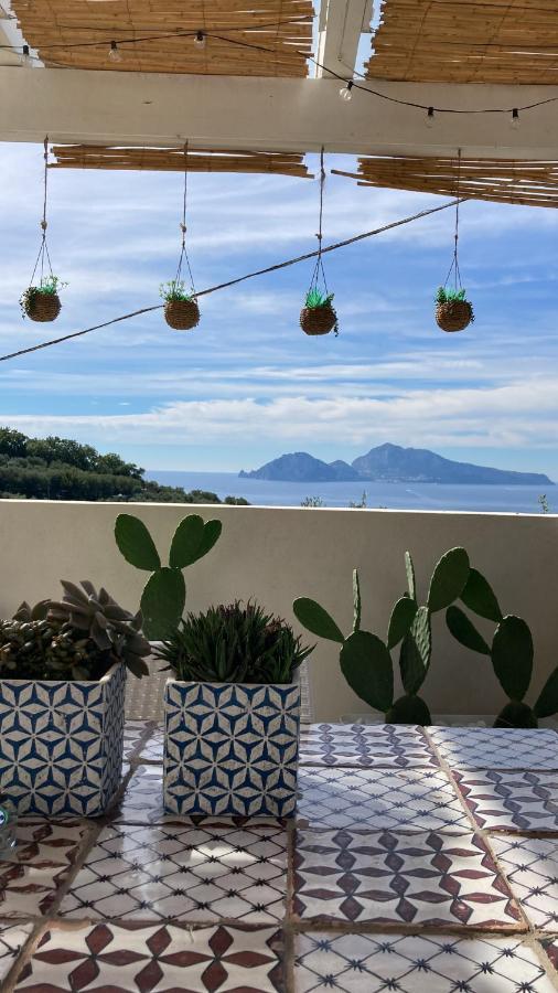 Villa Manu Massa Lubrense Ngoại thất bức ảnh